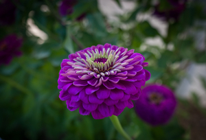 Uber Exif Photo