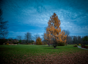 Uber Exif Photo