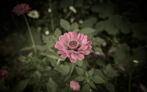 Uber Exif Photo