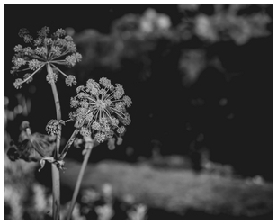 Uber Exif Photo