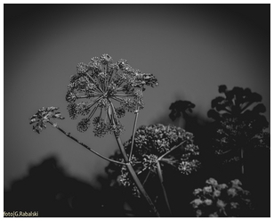 Uber Exif Photo