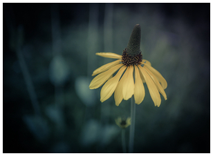 Uber Exif Photo