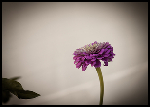 Uber Exif Photo