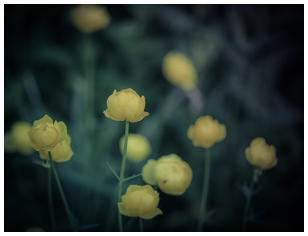 Uber Exif Photo