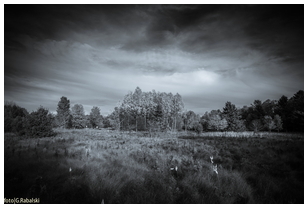 Uber Exif Photo