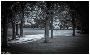 Uber Exif Photo