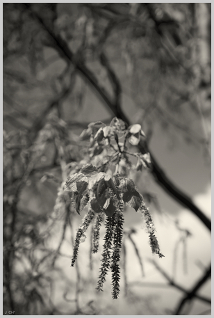 Uber Exif Photo