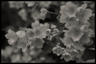 Uber Exif Photo