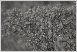 Uber Exif Photo