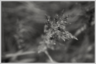 Uber Exif Photo