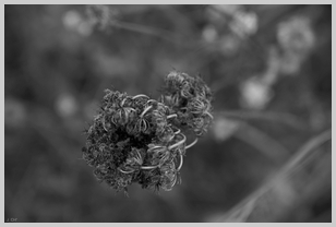 Uber Exif Photo