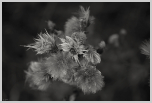 Uber Exif Photo