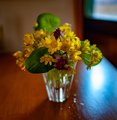 Uber Exif Photo