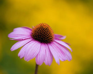 Uber Exif Photo
