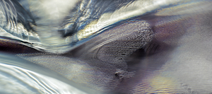 Uber Exif Photo