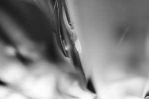 Uber Exif Photo