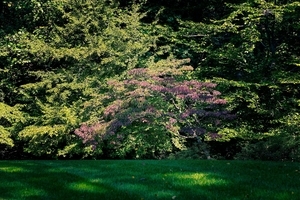 Uber Exif Photo