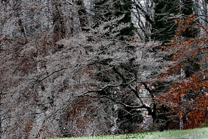 Uber Exif Photo