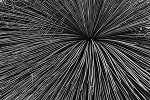 Uber Exif Photo