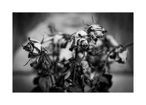Uber Exif Photo