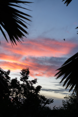 Uber Exif Photo