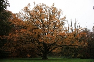 Uber Exif Photo