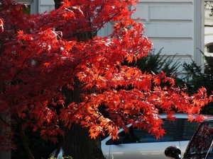 Uber Exif Photo