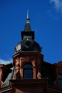 Uber Exif Photo