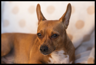 Uber Exif Photo