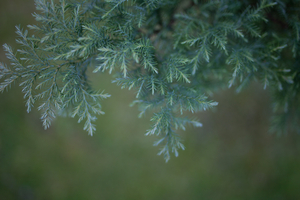 Uber Exif Photo