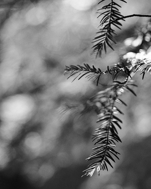 Uber Exif Photo