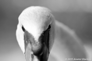 Uber Exif Photo