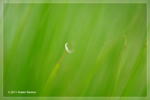 Uber Exif Photo