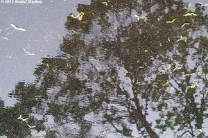 Uber Exif Photo