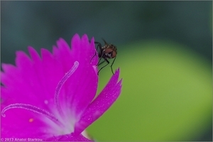 Uber Exif Photo