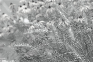 Uber Exif Photo