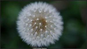 Uber Exif Photo