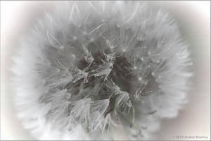 Uber Exif Photo