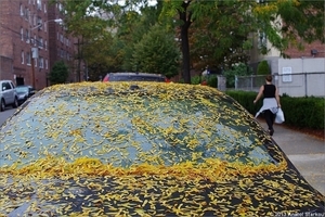 Uber Exif Photo