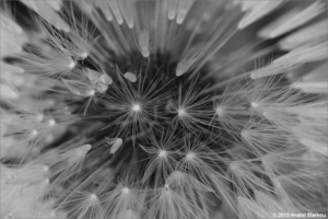 Uber Exif Photo