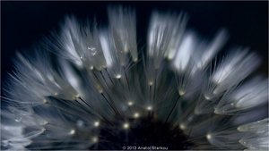Uber Exif Photo