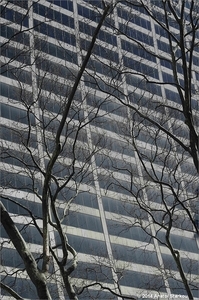 Uber Exif Photo