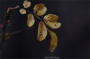 Uber Exif Photo