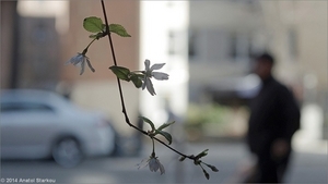 Uber Exif Photo