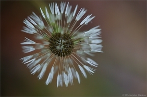 Uber Exif Photo