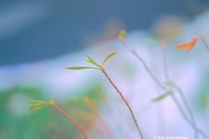 Uber Exif Photo