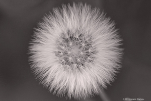 Uber Exif Photo