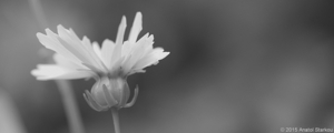 Uber Exif Photo
