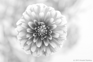 Uber Exif Photo