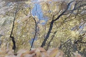 Uber Exif Photo
